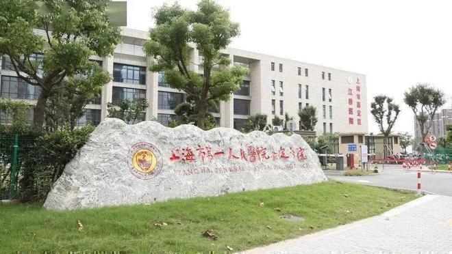 处发布：保利虹桥和著匠心铸就经典麻将胡了网址聚焦保利虹桥和著售楼(图16)